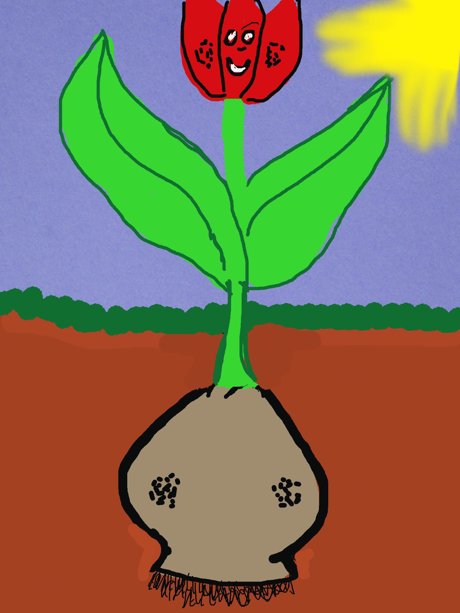 5